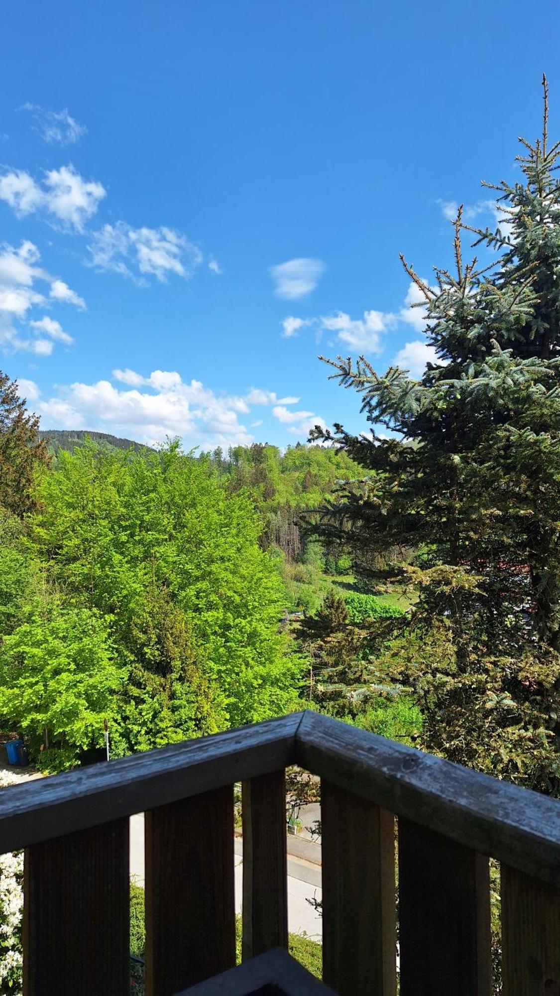 Haus Westharz Goslar Apartment