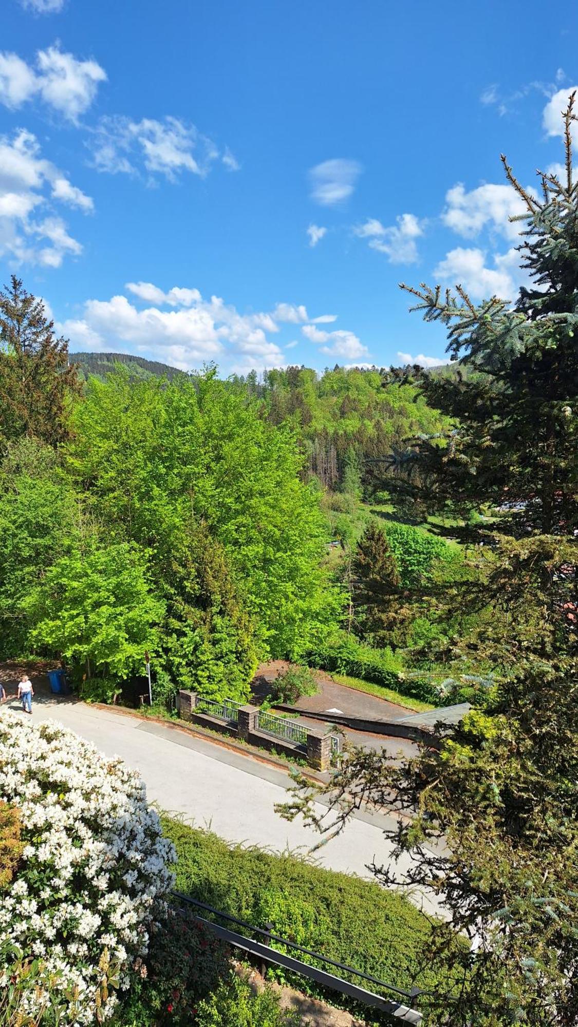 Haus Westharz Goslar Apartment