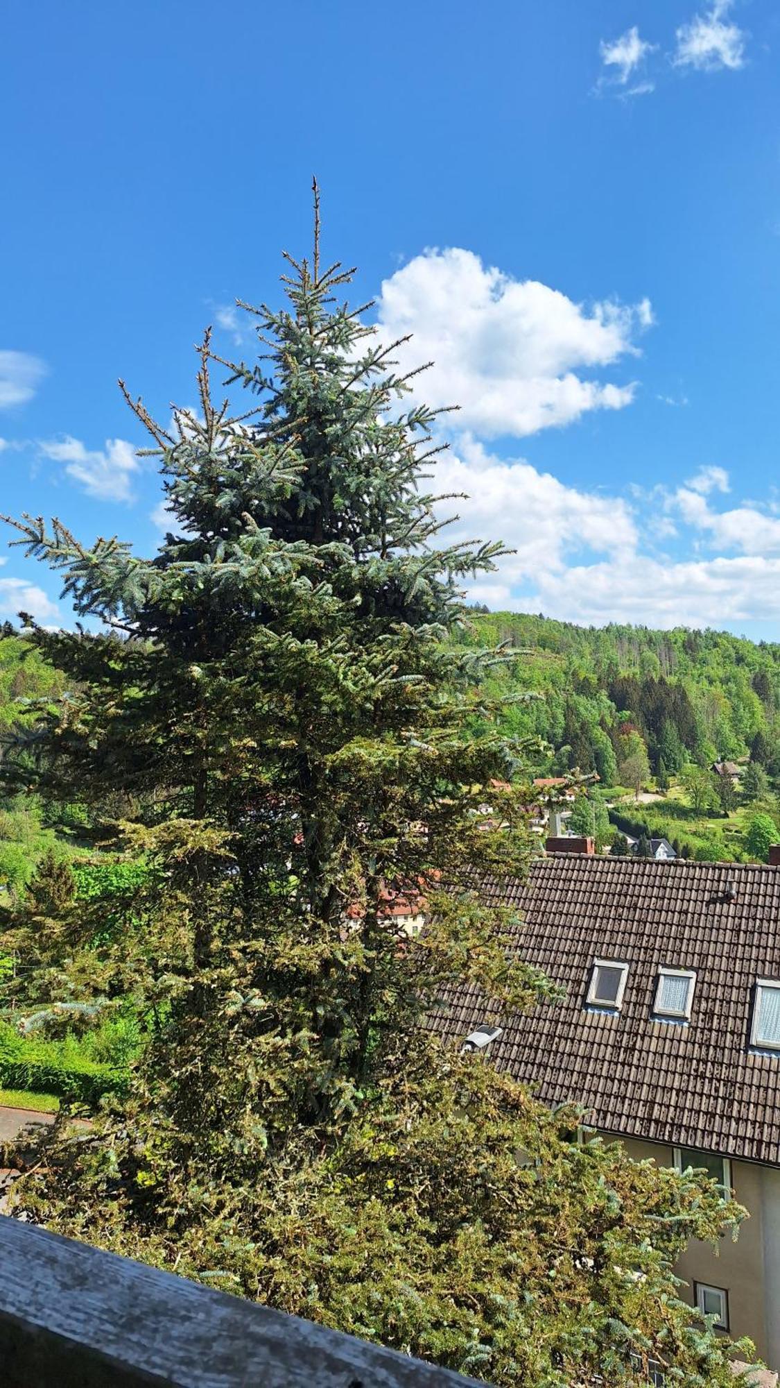 Appartement Haus Westharz Goslar