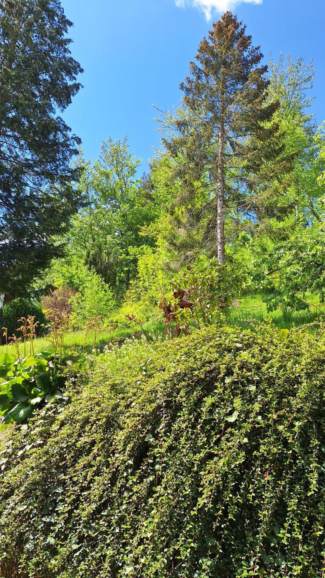Haus Westharz Goslar Apartment